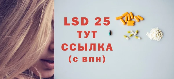 ECSTASY Алзамай