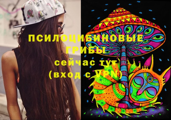 гидра Алексин