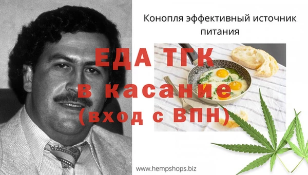 ECSTASY Алзамай