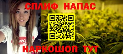 мдпв Дубна