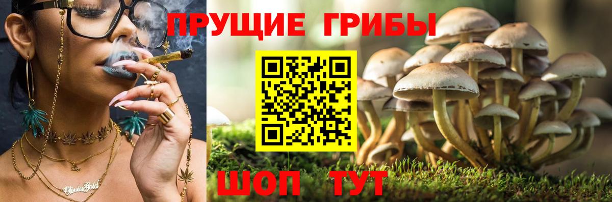 Нижний Тагил  Галлюциногенные грибы Psilocybe  Вход с VPN  Псилоцибиновые грибы MAGIC MUSHROOMS 
